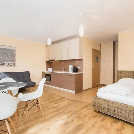 Center By Renters 슈비노우이스쳬